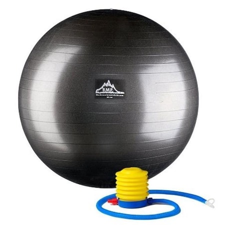 Black Mountain Products Black Mountain Products PSBLK 45CM 45 cm. Professional Grade Exercise Stability Ball; Black PSBLK 45CM